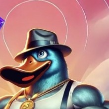 Plat Wif platypus